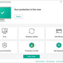 Uninstall Kaspersky without password